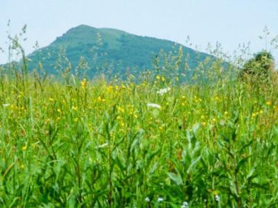 Caloroczne Domki Zacisze Hnatowego Berda W Wetlinie Ветлина Экстерьер фото
