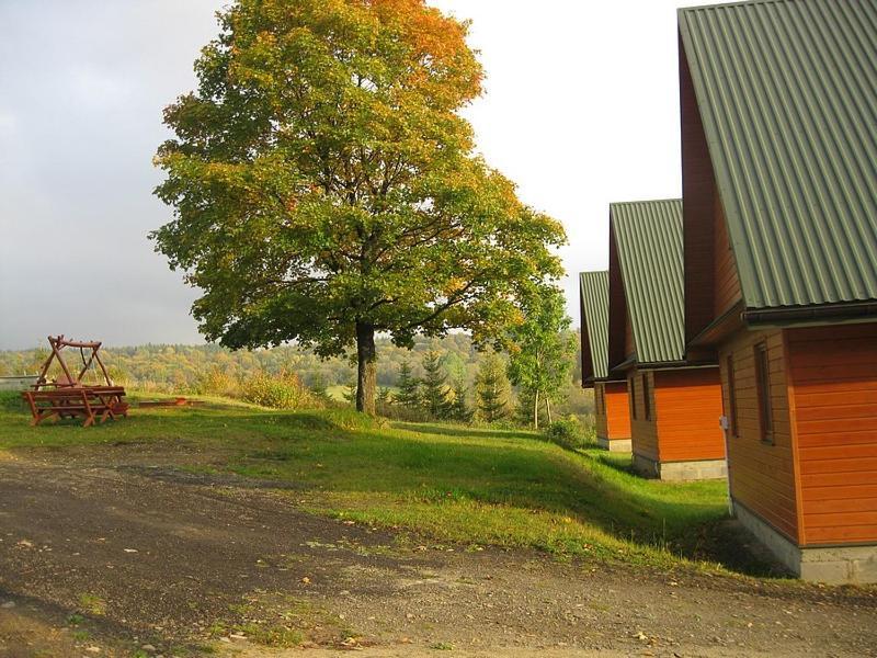 Caloroczne Domki Zacisze Hnatowego Berda W Wetlinie Ветлина Экстерьер фото